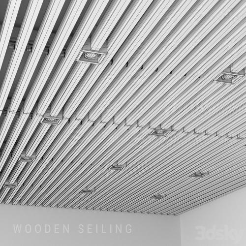 Wooden seiling 2