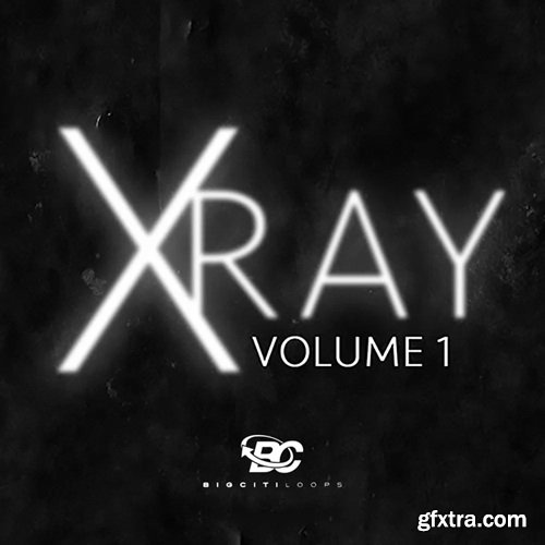 Big Citi Loops X-Ray Vol 1