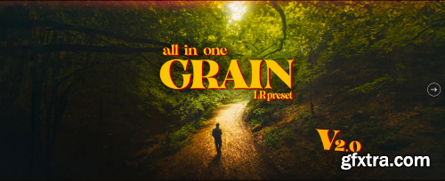 All in One Grain [Lightroom preset] V2.001