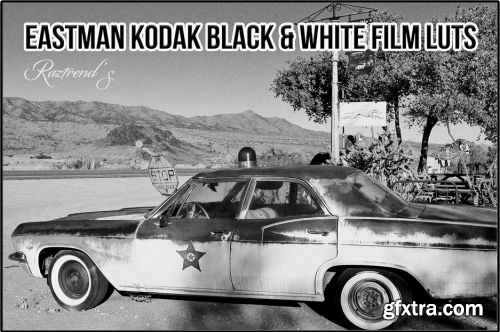 Eastman Kodak Black and White Films LUTs 