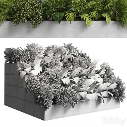 collection outdoor plant 22 - stairs concrete vase