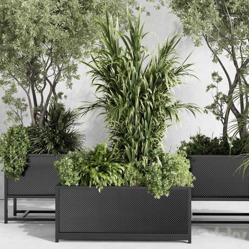 metal box plants on stand - set indoor plant 425