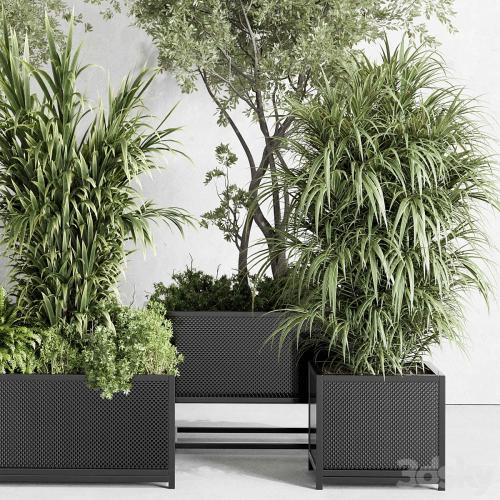 metal box plants on stand - set indoor plant 425