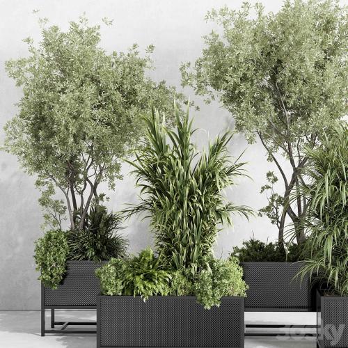 metal box plants on stand - set indoor plant 425