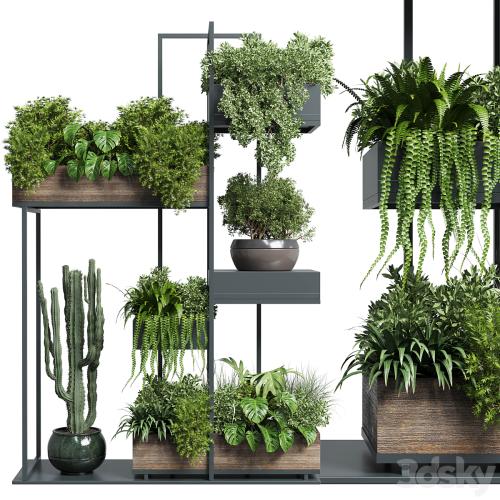 Collection Outdoor Indoor plant stand-metal and wooden vase 13