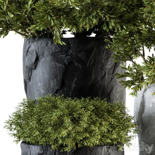 Outdoor Plants tree in Rock Pot - Set 136