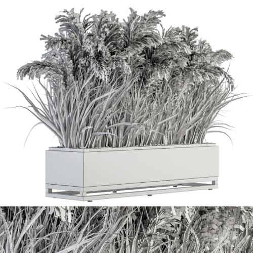 indoor Plant Set 131 - Dried Plant box