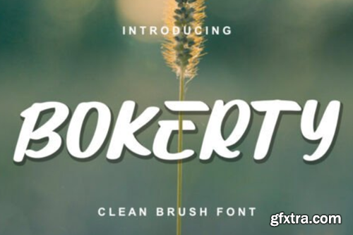 Bokerty Font