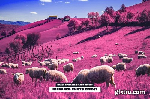 Infrared Photo Effect YGU53QJ