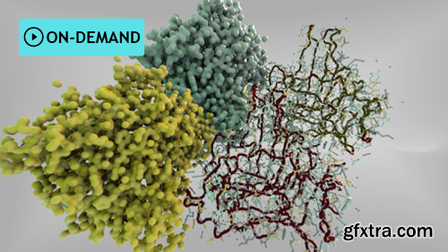 Houdini.School – HS-227 - Visualizing Protein Data Bank Information with Kate Xagoraris