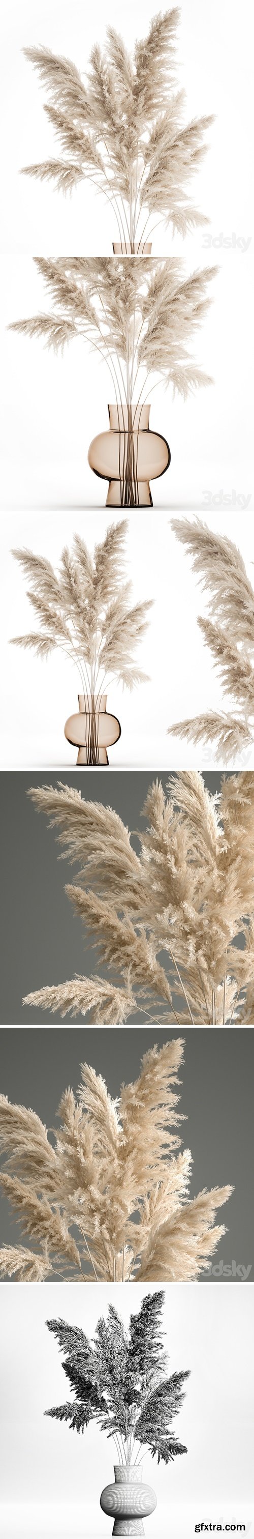 A beautiful lush bouquet of dried flowers in a vase with dry branches of pampas, Cortaderia, white reeds. 150.