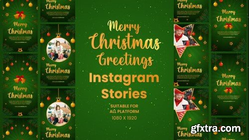 Videohive Elegant Christmas Greetings Instagram Stories 55195479