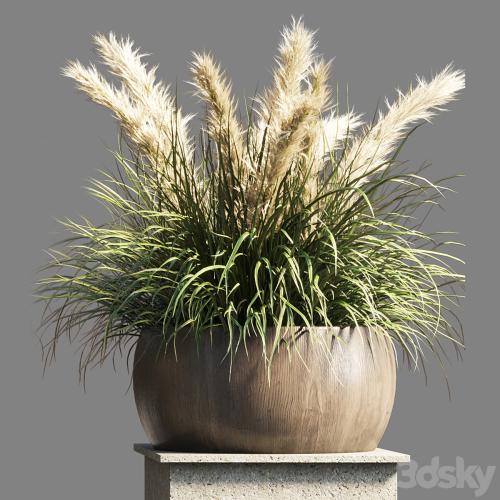 Collection outdoor indoor 70 pot palnt grass the dry pampas stand vase wooden