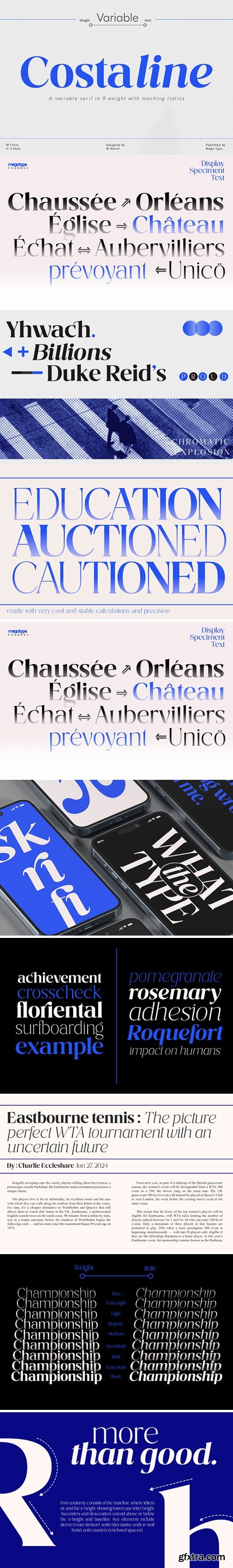 CM - Costaline Font Family 288994738