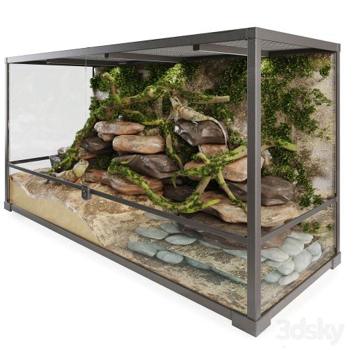 Terrarium Agama