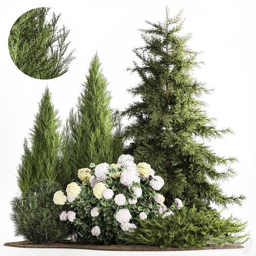 Garden of spruce, pine, topiary, white hydrangea bush, flowers, juniper, alpine hill. Plant set 1181