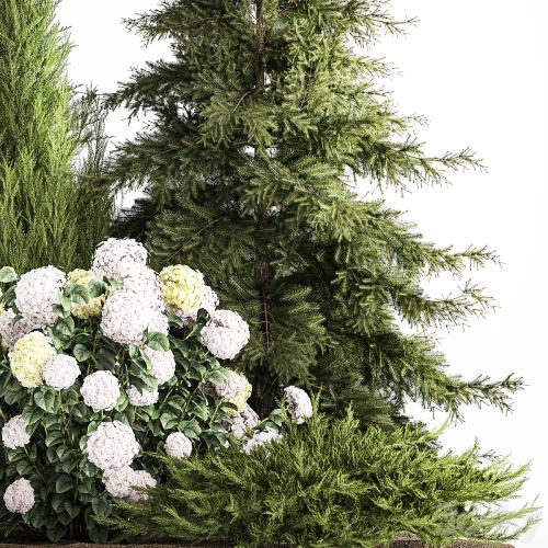 Garden of spruce, pine, topiary, white hydrangea bush, flowers, juniper, alpine hill. Plant set 1181