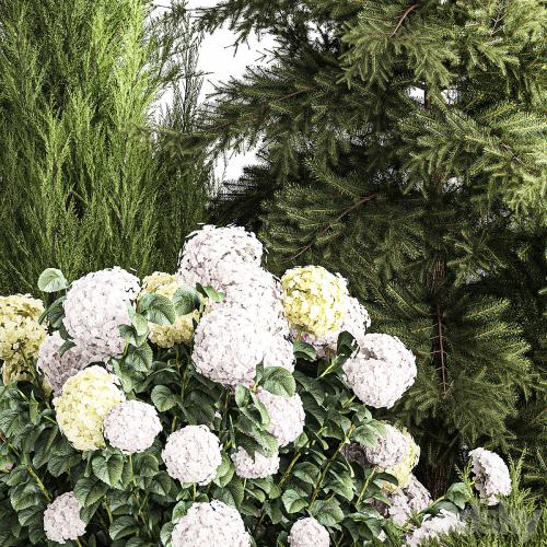 Garden of spruce, pine, topiary, white hydrangea bush, flowers, juniper, alpine hill. Plant set 1181