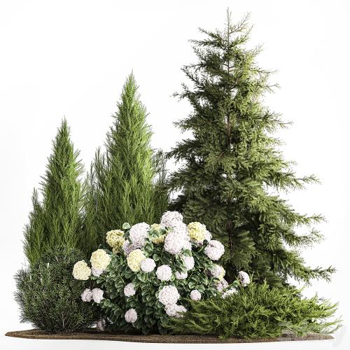 Garden of spruce, pine, topiary, white hydrangea bush, flowers, juniper, alpine hill. Plant set 1181