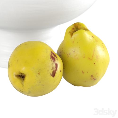 Quinces in a vase