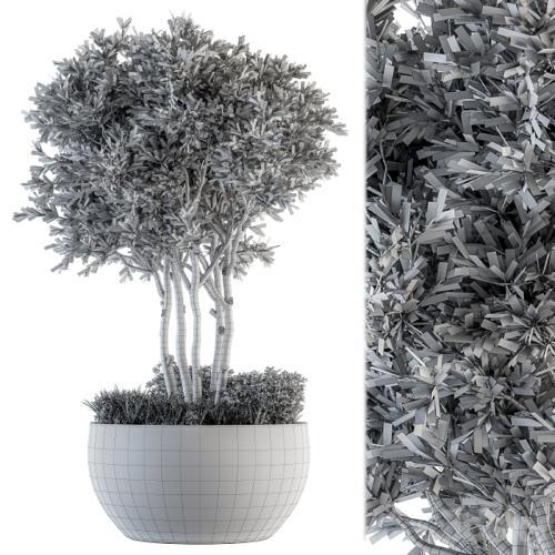 Outdoor Plants tree in Concrete Pot - Set 135