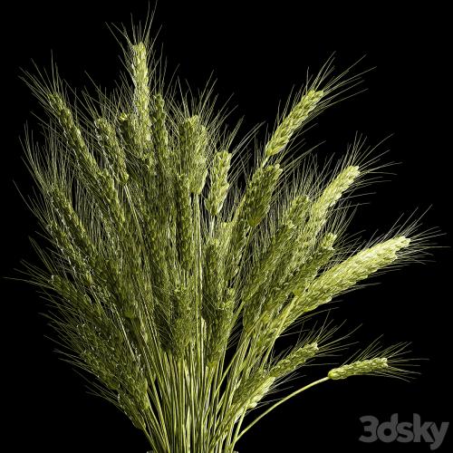 Bouquet of green flowers in a glass vase for decoration of wheat branches, spikelet. 265.