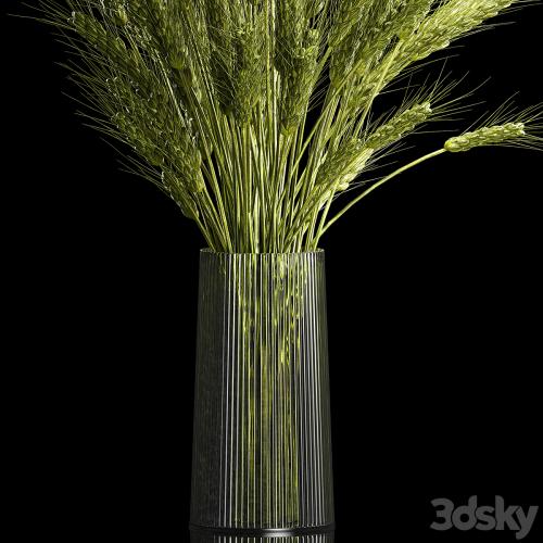 Bouquet of green flowers in a glass vase for decoration of wheat branches, spikelet. 265.