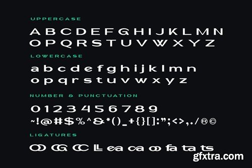 Gacox - Modern Sans Serif T6A2FG6