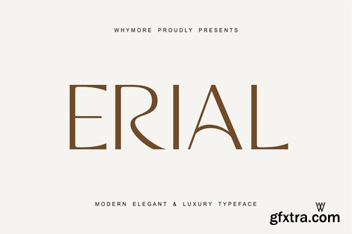 ERIAL | Simple Luxury Serif Font for Branding RPGPH9M