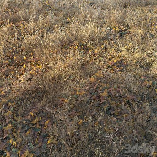 Dry autumn grass