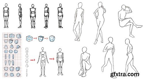 Drawing For Complete Beginners - Anatomy Made Easy