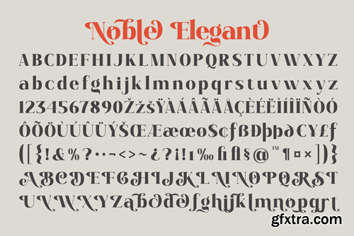 Noble Elegant - Luxury Serif Swash Logo Font 9FU3D6F