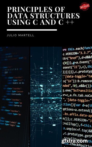 Principles of Data Structures Using C and C++ by julio martell