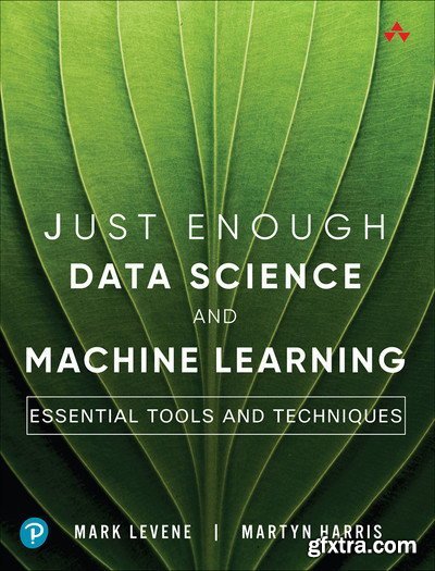 Just Enough Data Science and Machine Learning: Essential Tools and Techniques