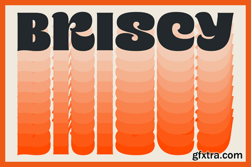 Briscy Display Font F7UMY56