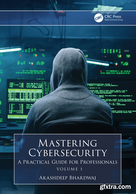 Mastering Cybersecurity: A Practical Guide for Professionals (Volume 1)