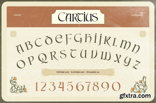 Cartius 5JAHV2C