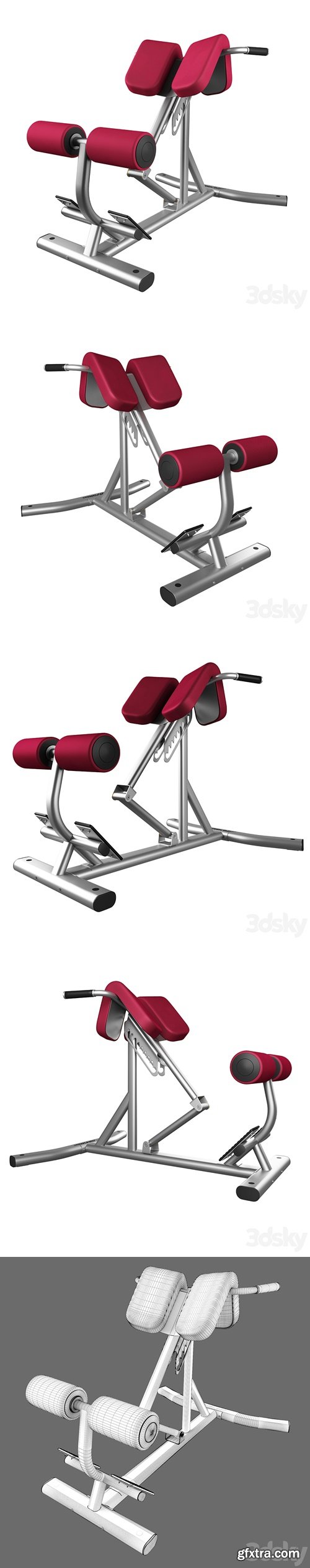 Lifefitness Signature Series Back Extension