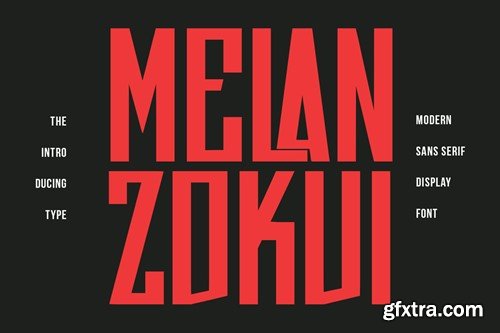 Melan Zokui Modern Sans Serif Display Font PJK4F2V