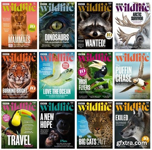 BBC Wildlife Magazine - Full Year 2024 Collection