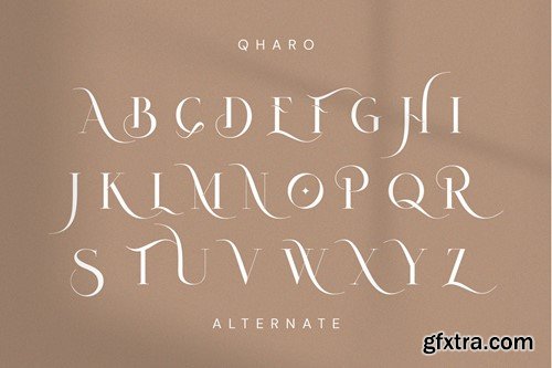 Qharo - Elegant Serif Font VZ2SKB3