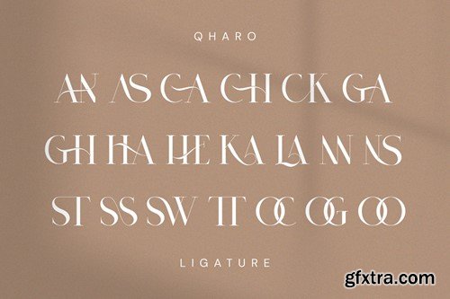 Qharo - Elegant Serif Font VZ2SKB3