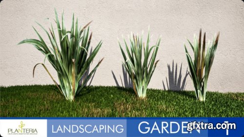 Landscaping Garden 1 UE5.1+