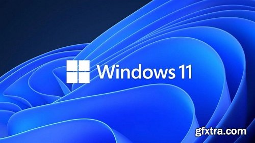 Windows 11 Pro Lite / SuperLite / UltraLite 24H2 Build 26100.2033 Multilanguage October 2024 AnkhTech