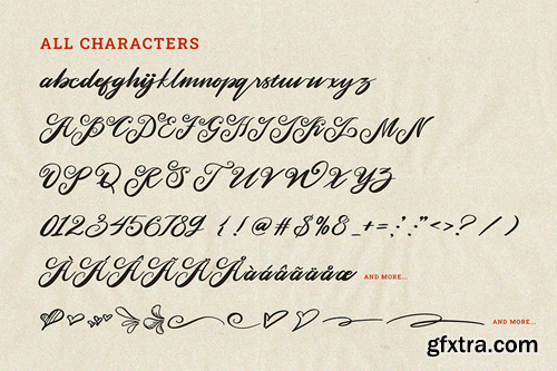 Romane | Classic Handwritten Script Wedding Font LJ9SWYG