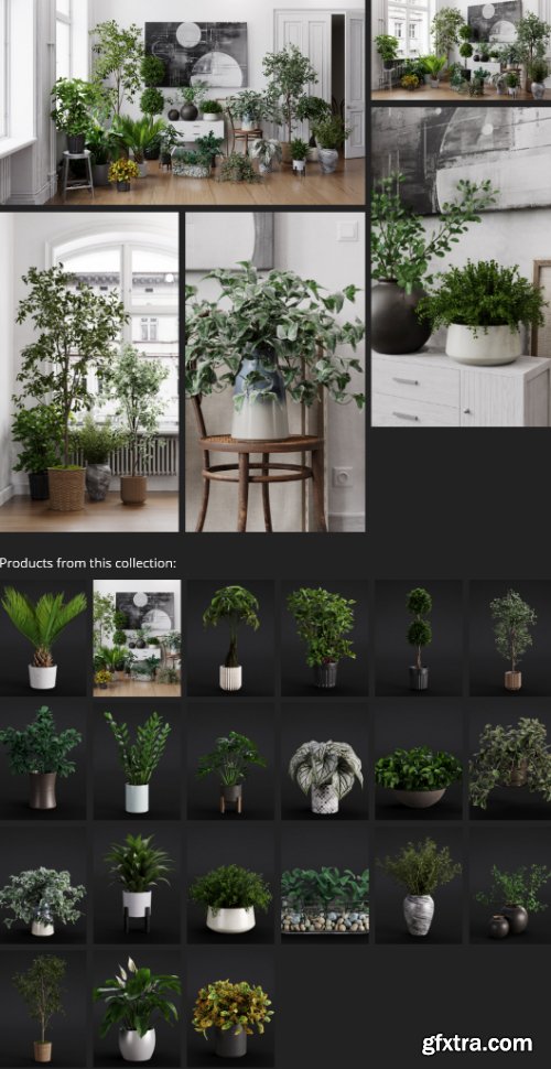 Evermotion - Archmodels vol. 280 - Indoor Plants