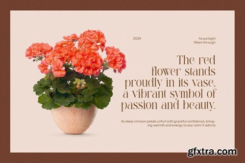 Mefgan - Modern Serif Font FL6BR56