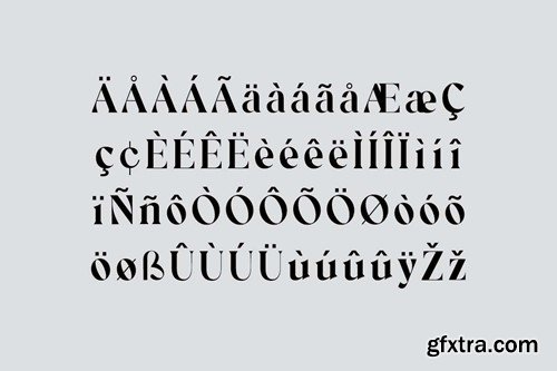 Retrosome Serif Display Font LEKQVSL