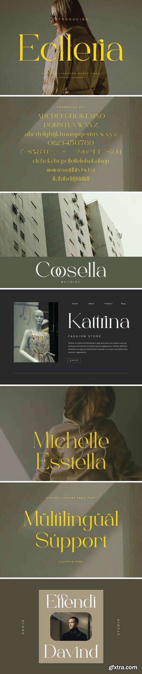 CM - Eclleria - Stylish Serif Font 289629821