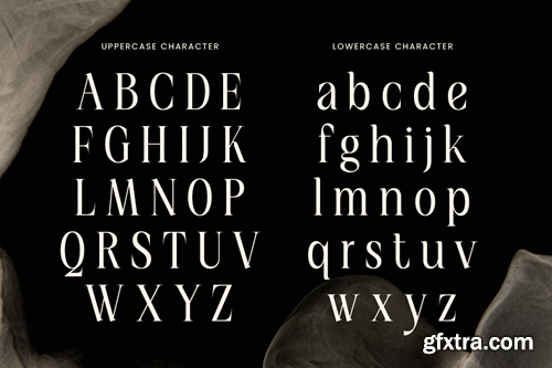 Modesta - Unique Ligature Luxury Font N4FEFAE